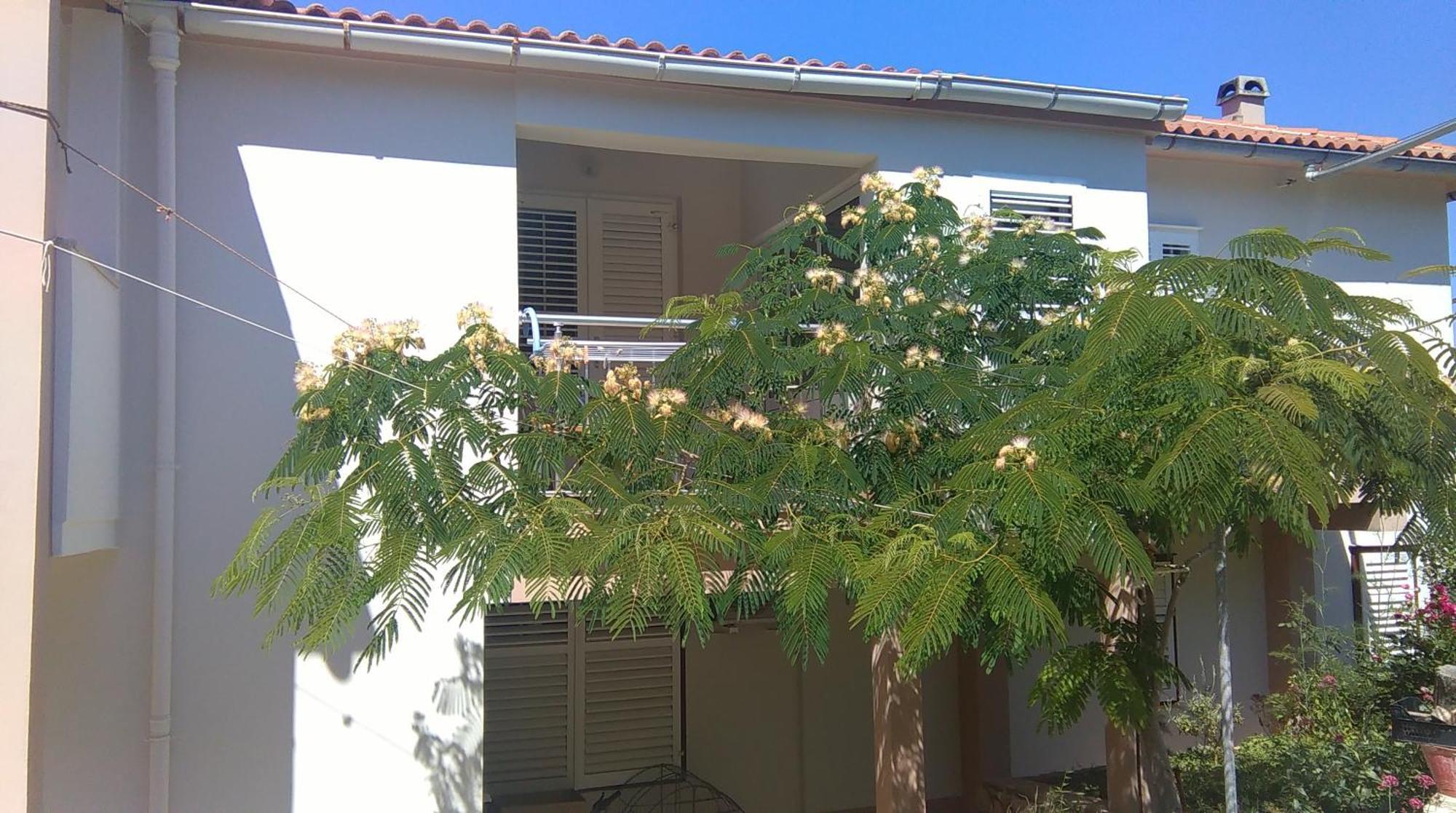Apartments And Rooms Ljubica Lun  Exterior foto